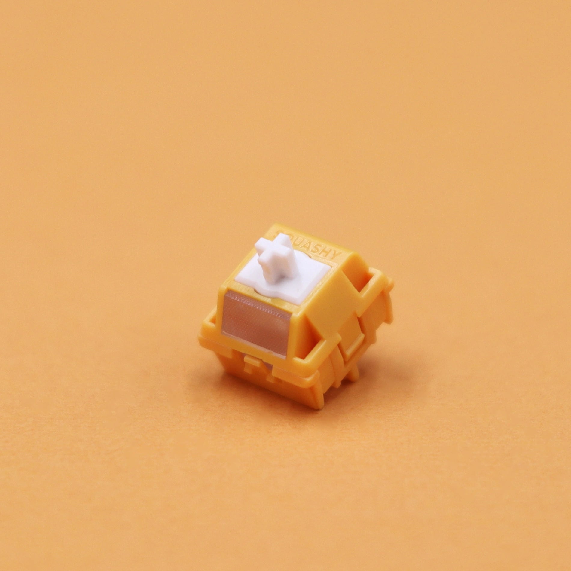 Pantheonkeys x Squashy Boy - SquisHE