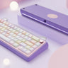 Chilkey Paw65 Barebone Mechanical Keyboard Kit