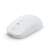 Pwnage Ultra Custom Wireless Ambi (Solid)