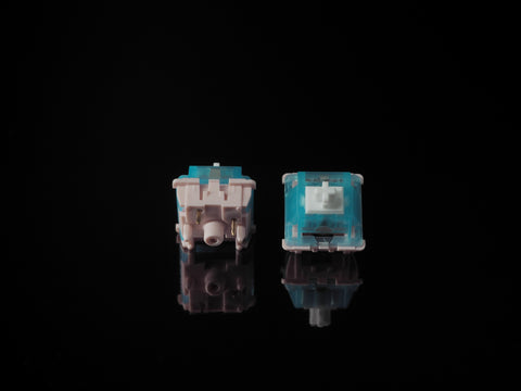 LCET Blue Pink Tactile Switches