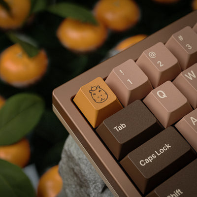 [GB] KAP Capy ABS Keycaps