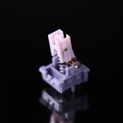 WEKT Lucy R5T Silent Linear Switches