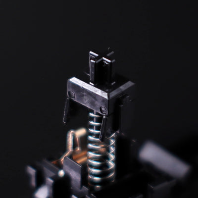 Pantheonkeys x TTC - PT Black Linear Switches