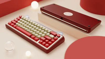 Chilkey Paw65 Barebone Mechanical Keyboard Kit