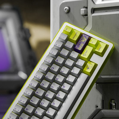 [GB] SWG Nerve ABS Keycap Set