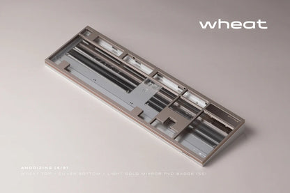 [GB] Vertex Intro - S100