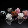 Pantheon's Switch Sample Pack - Gazzew, Gateron, Prevail, Durock, Keyfirst, KTT, LCET, TTC, Tecsee and Cherry Switches