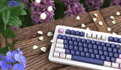 [GB] JTK Dreaming Girl